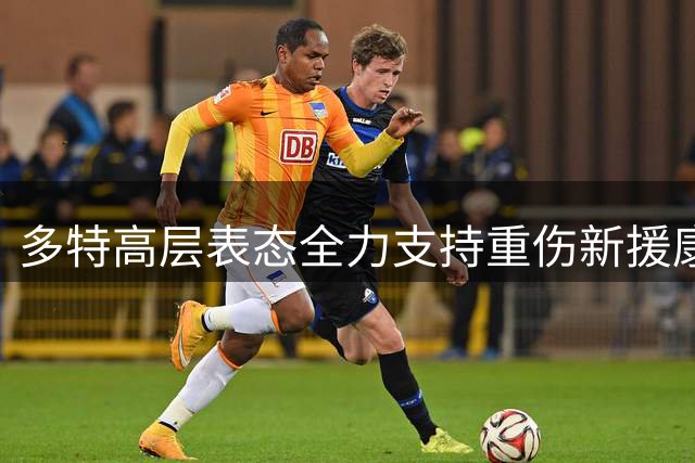 多特高层表态全力支持重伤新援康复